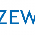 20th ZEW Summer Workshop for Young Economists
