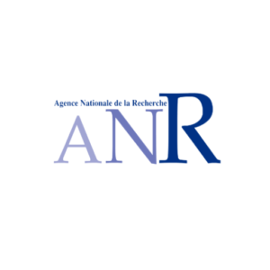 From individual cognitive biases to collective drifts on on-line social networks