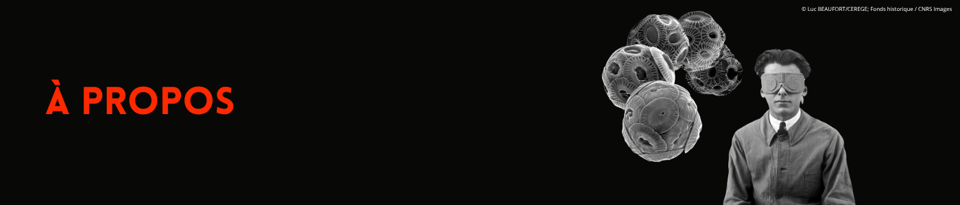 banners-unarchive (4)