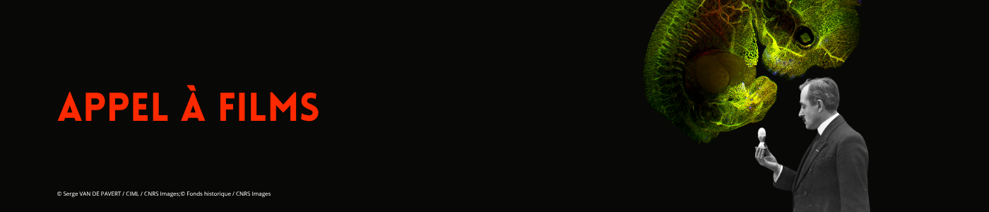 banners-unarchive (7)