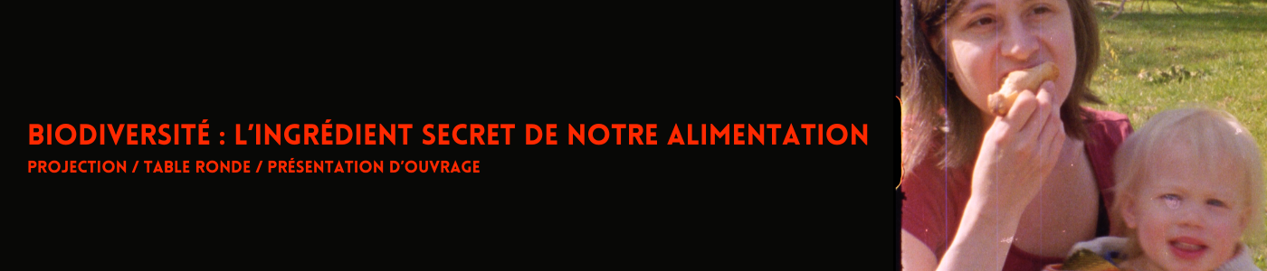 _banners-unarchive-pages-programme