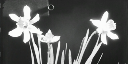 banners-unarchive-pages-programme